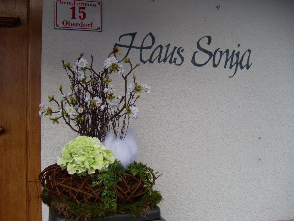 Haus Sonja Daire Lermoos Dış mekan fotoğraf